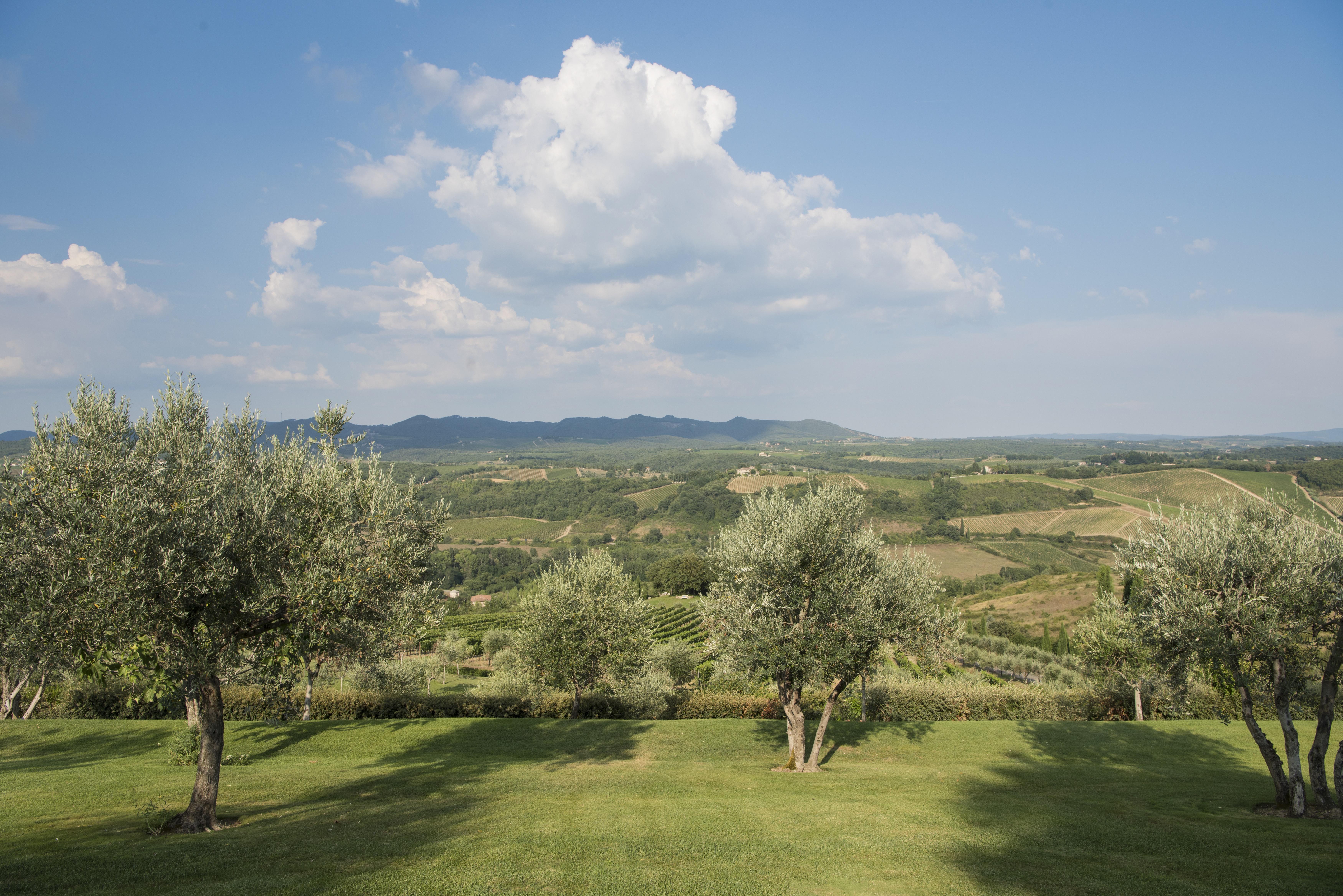 Hotel Le Fontanelle Castelnuovo Berardenga Esterno foto